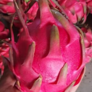 dragon fruit