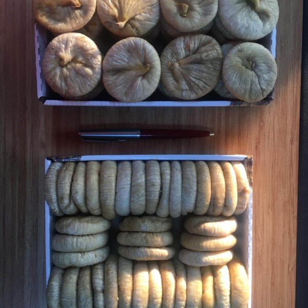 Turkish dry figs